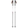 Black Diamond Expedition 2 -Holmenkol Salgsbutik black diamond expedition 2 ski poles no color